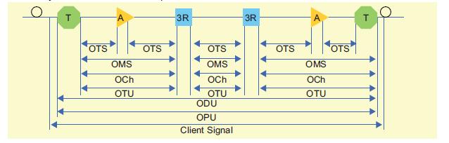 OTN層和網(wǎng)絡(luò)組成