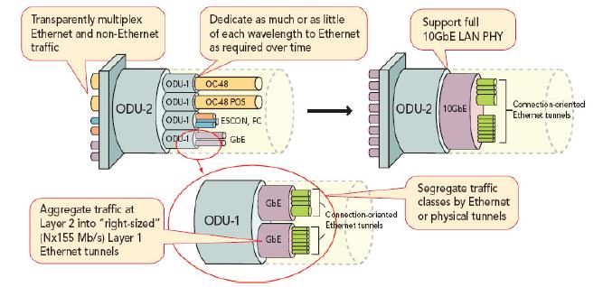 客戶側(cè)匯集的各種協(xié)議使得OTN成為高性價比通用基本結(jié)構(gòu)