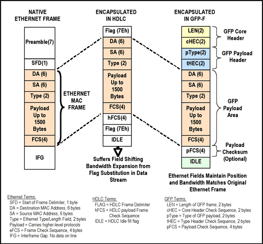 圖1. HDLC和GFP幀結(jié)構(gòu)對(duì)比