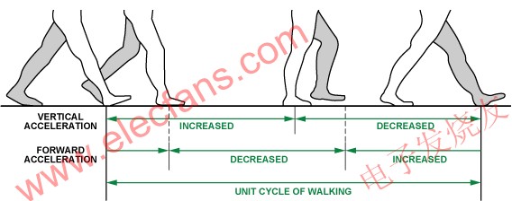 步行階段與加速度模式 wenjunhu.com