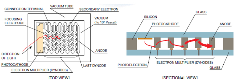 濱松μPMT內(nèi)部構(gòu)造