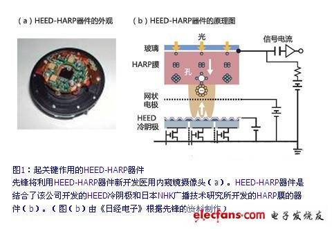 起關(guān)鍵作用的HEED-***RP器件