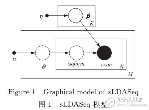 RNA-Seq差異異構體比例檢測方法