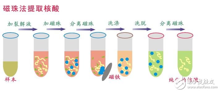 什么是生物磁珠_(kāi)磁珠法提取DNA簡(jiǎn)介