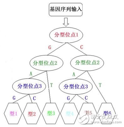 MATLAB編譯生成AUTOLISP代碼實(shí)現(xiàn)可變ID3基因分型決策樹分類圖的繪制