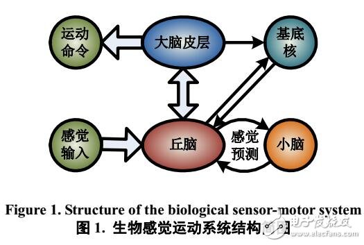 基于BP神經(jīng)網(wǎng)絡(luò)的機(jī)器人感覺(jué)運(yùn)動(dòng)系統(tǒng)