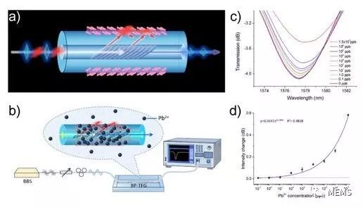 研究團(tuán)隊(duì)成功研制黑磷光纖傳感器 實(shí)現(xiàn)對(duì)重金屬離子的超靈敏檢測(cè)